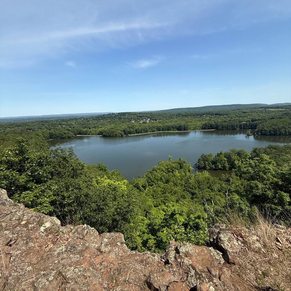Meet your Posher, Bart